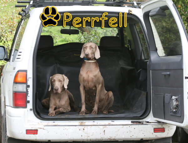 Protector para el Asiento del vehículo