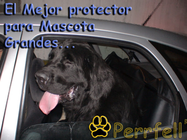 Protector para el Asiento del vehículo - Imagen 3